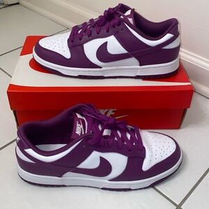 Nike Dunk Low Retro Viotech